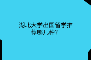 湖北大學(xué)出國(guó)留學(xué)推薦哪幾種？