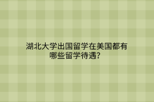 湖北大學出國留學在美國都有哪些留學待遇？