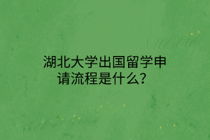 湖北大學(xué)出國(guó)留學(xué)申請(qǐng)流程是什么？