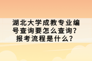 湖北大學(xué)成教專業(yè)編號查詢要怎么查詢？報考流程是什么？