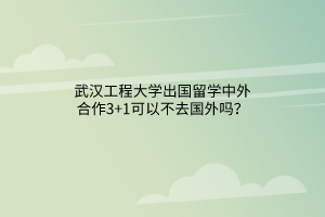 武漢工程大學(xué)出國留學(xué)中外合作3+1可以不去國外嗎？