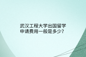 武漢工程大學(xué)出國留學(xué)申請費用一般是多少？