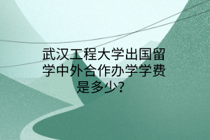 武漢工程大學(xué)出國(guó)留學(xué)中外合作辦學(xué)學(xué)費(fèi)是多少？