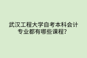 武漢工程大學(xué)自考本科會計(jì)專業(yè)都有哪些課程？
