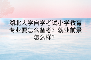 湖北大學(xué)自學(xué)考試小學(xué)教育專業(yè)要怎么備考？就業(yè)前景怎么樣？