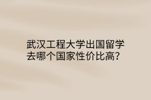 武漢工程大學(xué)出國留學(xué)去哪個國家性價(jià)比高？