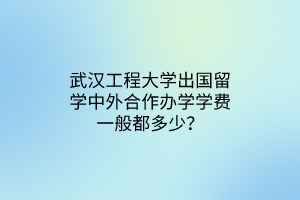 武漢工程大學(xué)出國(guó)留學(xué)中外合作辦學(xué)學(xué)費(fèi)一般都多少？