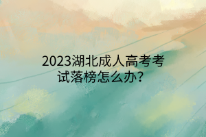 2023湖北成人高考考試落榜怎么辦？