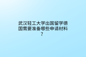 武漢輕工大學出國留學德國需要準備哪些申請材料？