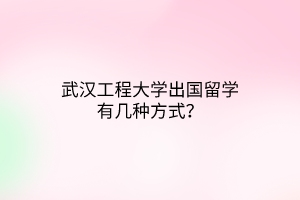 武漢工程大學(xué)出國留學(xué)有幾種方式？