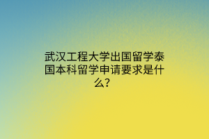 武漢工程大學出國留學泰國本科留學申請要求是什么？