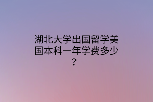 湖北大學出國留學美國本科一年學費多少？