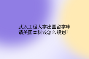 武漢工程大學(xué)出國(guó)留學(xué)申請(qǐng)美國(guó)本科該怎么規(guī)劃？