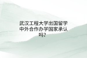 武漢工程大學(xué)出國留學(xué)中外合作辦學(xué)國家承認(rèn)嗎？