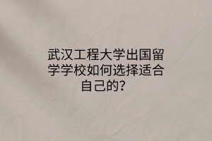 武漢工程大學(xué)出國留學(xué)學(xué)校如何選擇適合自己的？