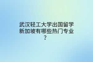武漢輕工大學(xué)出國留學(xué)新加坡有哪些熱門專業(yè)？