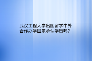 武漢工程大學(xué)出國(guó)留學(xué)中外合作辦學(xué)國(guó)家承認(rèn)學(xué)歷嗎？