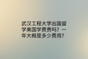 武漢工程大學出國留學美國學費貴嗎？一年大概是多少費用？