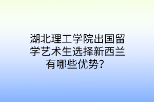 湖北理工學(xué)院出國留學(xué)藝術(shù)生選擇新西蘭有哪些優(yōu)勢？