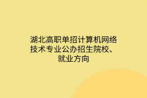 湖北高職單招計算機網(wǎng)絡(luò)技術(shù)專業(yè)公辦招生院校、就業(yè)方向