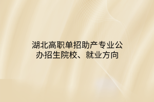 湖北高職單招助產(chǎn)專業(yè)公辦招生院校、就業(yè)方向