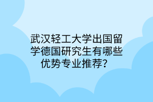 武漢輕工大學(xué)出國留學(xué)德國研究生有哪些優(yōu)勢專業(yè)推薦？