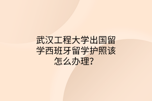 武漢工程大學(xué)出國留學(xué)西班牙留學(xué)護照該怎么辦理？