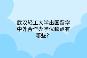 武漢輕工大學(xué)出國留學(xué)中外合作辦學(xué)優(yōu)缺點(diǎn)有哪些？