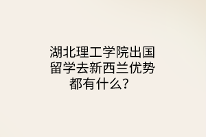 湖北理工學(xué)院出國(guó)留學(xué)去新西蘭優(yōu)勢(shì)都有什么？