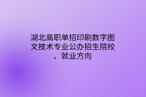 湖北高職單招印刷數(shù)字圖文技術(shù)專業(yè)公辦招生院校、就業(yè)方向