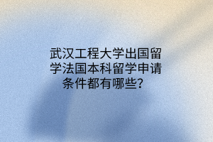 武漢工程大學(xué)出國(guó)留學(xué)法國(guó)本科留學(xué)申請(qǐng)條件都有哪些？