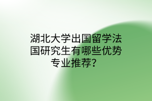 湖北大學(xué)出國留學(xué)法國研究生有哪些優(yōu)勢專業(yè)推薦？