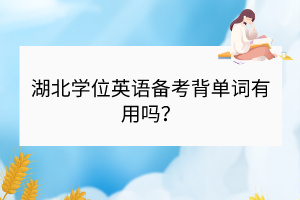 湖北學(xué)位英語備考背單詞有用嗎？