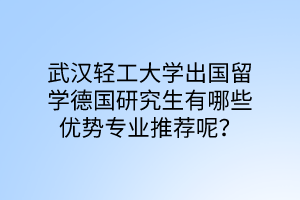 武漢輕工大學出國留學德國研究生有哪些優(yōu)勢專業(yè)推薦呢？