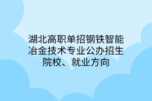 湖北高職單招鋼鐵智能冶金技術(shù)專業(yè)公辦招生院校、就業(yè)方向