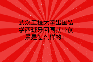 武漢工程大學出國留學西班牙回國就業(yè)前景是怎么樣的？