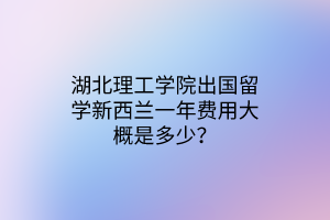 湖北理工學院出國留學新西蘭一年費用大概是多少？