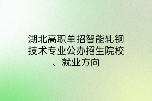 湖北高職單招智能軋鋼技術(shù)專業(yè)公辦招生院校、就業(yè)方向