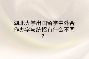 湖北大學出國留學中外合作辦學與統(tǒng)招有什么不同？