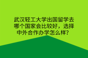 武漢輕工大學(xué)出國留學(xué)去哪個(gè)國家會(huì)比較好，選擇中外合作辦學(xué)怎么樣？