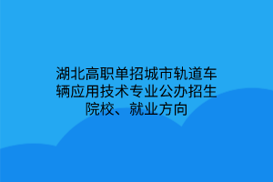 湖北高職單招城市軌道車輛應(yīng)用技術(shù)專業(yè)公辦招生院校、就業(yè)方向