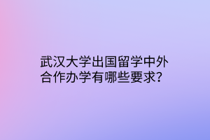 武漢大學(xué)出國(guó)留學(xué)中外合作辦學(xué)有哪些要求？