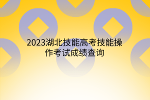 2023湖北技能高考技能操作考試成績(jī)查詢