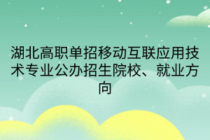 湖北高職單招移動互聯(lián)應(yīng)用技術(shù)專業(yè)公辦招生院校、就業(yè)方向