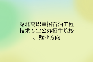 湖北高職單招石油工程技術(shù)專業(yè)公辦招生院校、就業(yè)方向