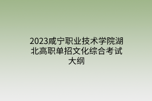 2023咸寧職業(yè)技術(shù)學(xué)院湖北高職單招文化綜合考試大綱