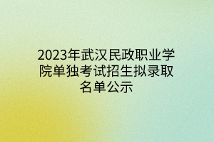 2023年武漢民政職業(yè)學(xué)院?jiǎn)为?dú)考試招生擬錄取名單公示