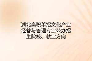 湖北高職單招文化產(chǎn)業(yè)經(jīng)營與管理專業(yè)公辦招生院校、就業(yè)方向