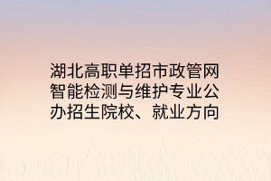 湖北高職單招市政管網(wǎng)智能檢測與維護(hù)專業(yè)公辦招生院校、就業(yè)方向