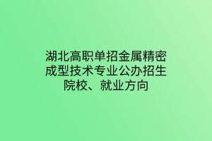 湖北高職單招金屬精密成型技術(shù)專業(yè)公辦招生院校、就業(yè)方向